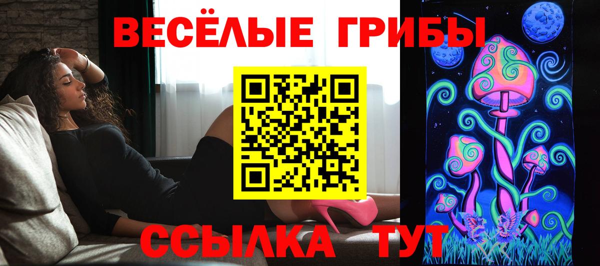 Псилоцибиновые грибы GOLDEN TEACHER Каспийск
